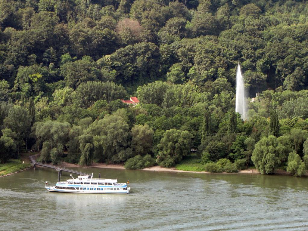 Ferienwohnung Antel Andernach Luaran gambar